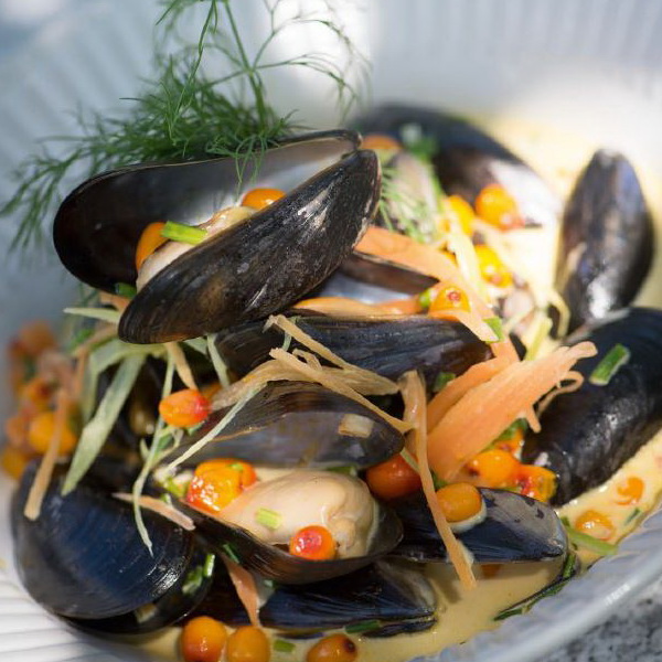 Dampede blåmuslinger i havtorn